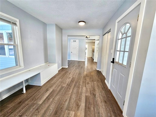 mudroom with a wealth of natural light, dark hardwood / wood-style floors, and a textured ceiling