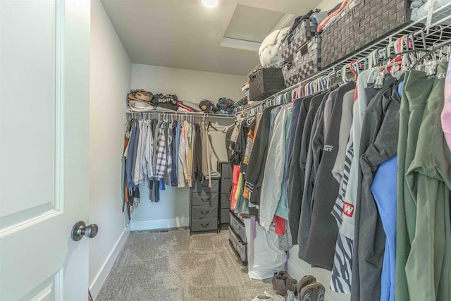 walk in closet with carpet floors