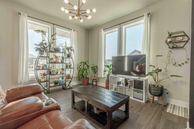 living room featuring dark hardwood / wood-style flooring and a notable chandelier