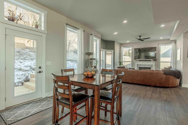 dining space with ceiling fan and wood-type flooring