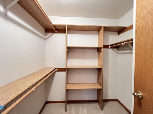 walk in closet with light colored carpet