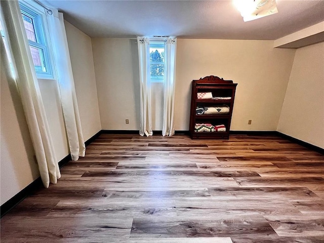 empty room featuring wood-type flooring