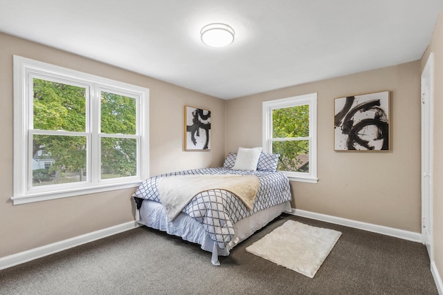 carpeted bedroom with multiple windows