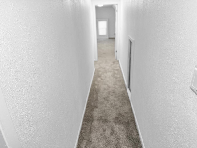 corridor with light colored carpet