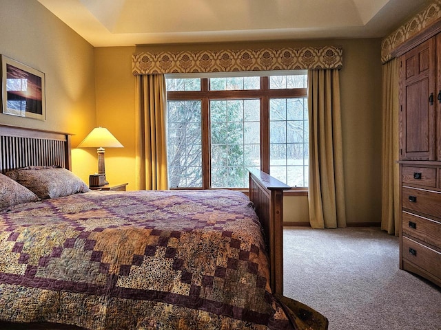 bedroom with carpet, a tray ceiling, and multiple windows