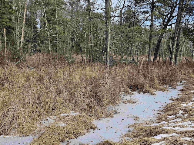 Listing photo 2 for 19.63AC Luedtke Rd, La Valle WI 53941