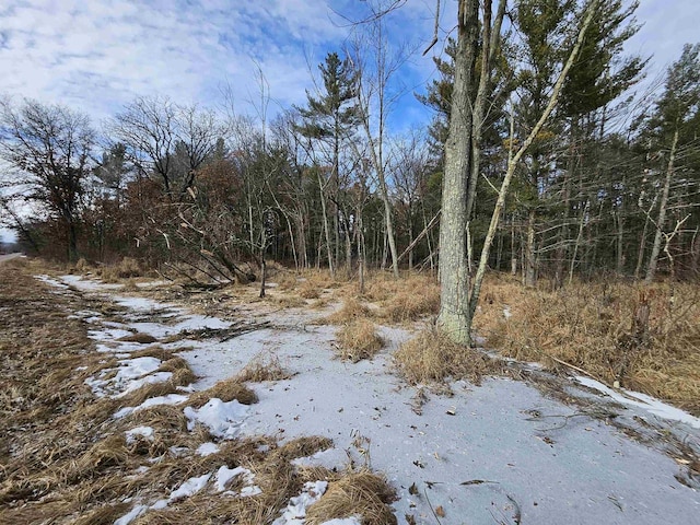 Listing photo 3 for 19.63AC Luedtke Rd, La Valle WI 53941