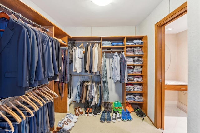 view of spacious closet