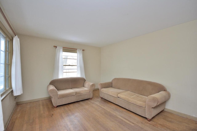 living room with light hardwood / wood-style flooring