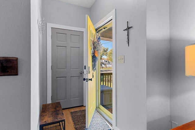 doorway featuring wood-type flooring