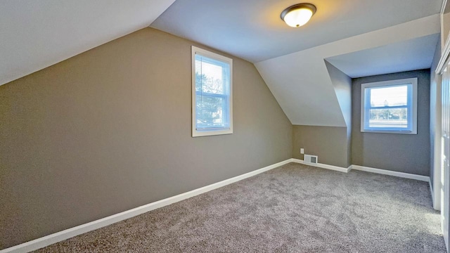 additional living space featuring carpet floors and lofted ceiling