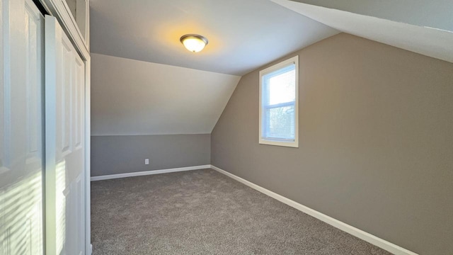 additional living space with carpet flooring and vaulted ceiling