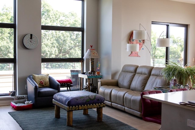 living room featuring hardwood / wood-style flooring