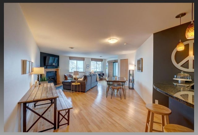 living room featuring light hardwood / wood-style floors