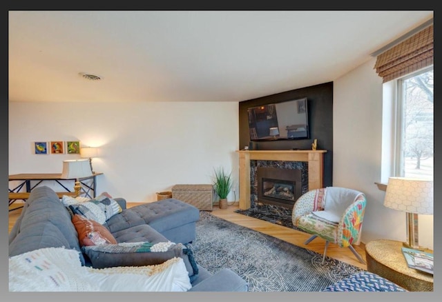 living room featuring wood-type flooring and a premium fireplace