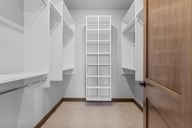 view of spacious closet