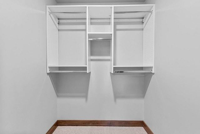 walk in closet with carpet floors