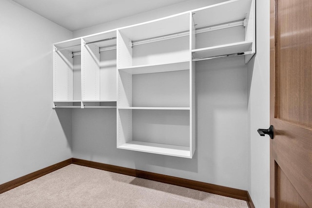 spacious closet with carpet floors