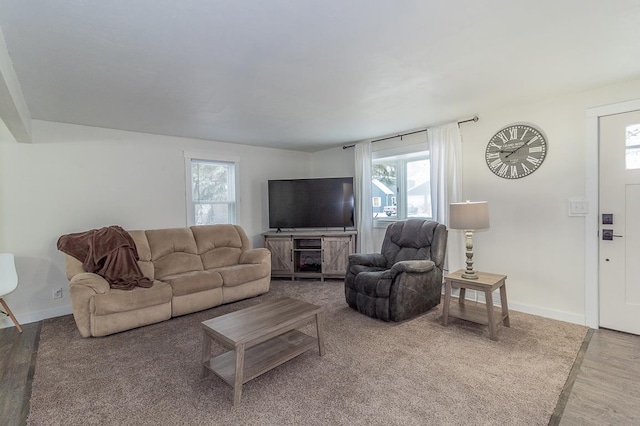 living room with hardwood / wood-style floors and a wealth of natural light