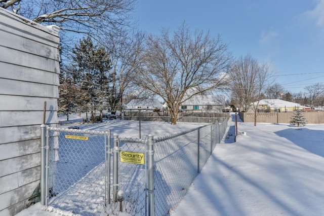 view of yard covered in snow