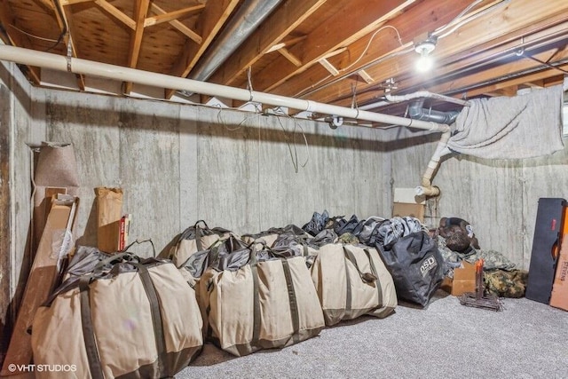 basement featuring carpet