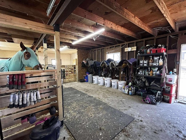 view of horse barn