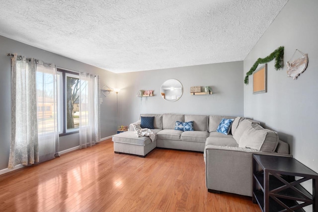 living room with wood-type flooring and a textured ceiling