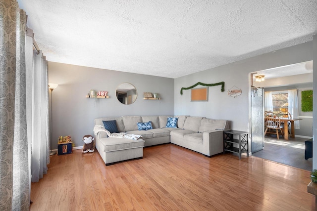 living room featuring hardwood / wood-style floors and a textured ceiling