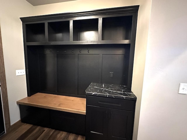 mudroom featuring dark hardwood / wood-style floors