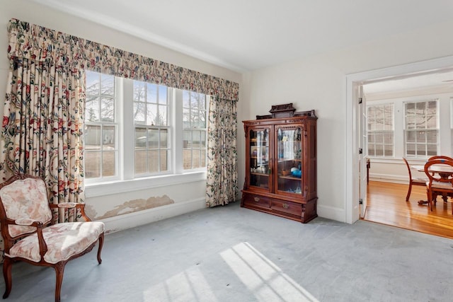 sitting room with light carpet