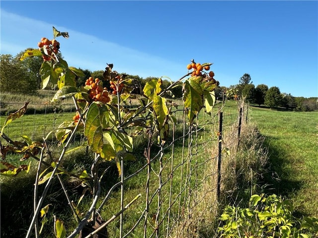 view of nature featuring a rural view