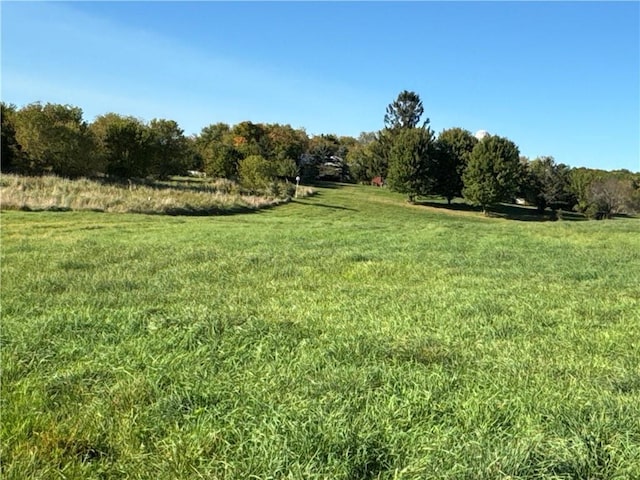 view of yard featuring a rural view