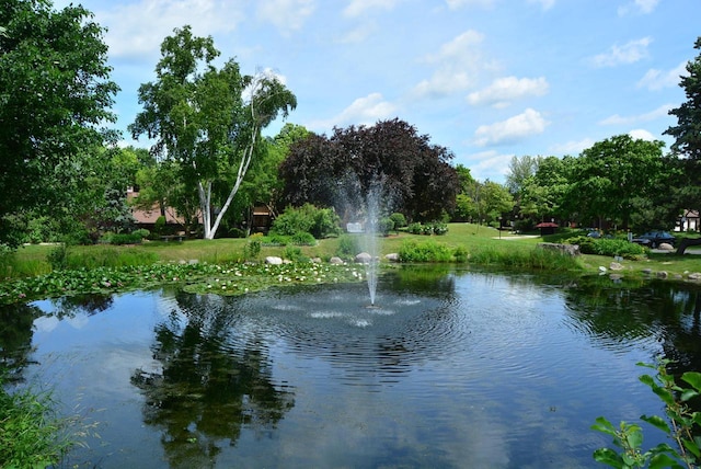 view of water feature