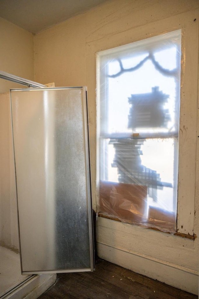 bathroom featuring wood-type flooring and a wealth of natural light