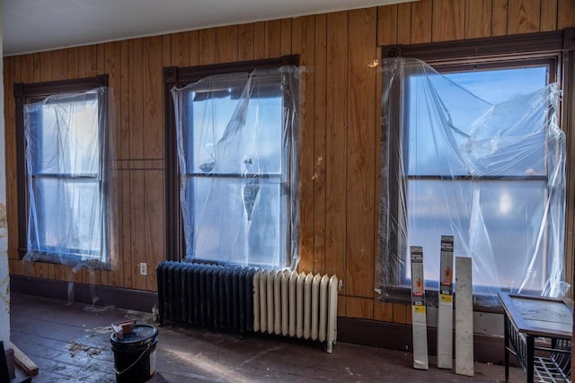 miscellaneous room with radiator, wood walls, and a wealth of natural light