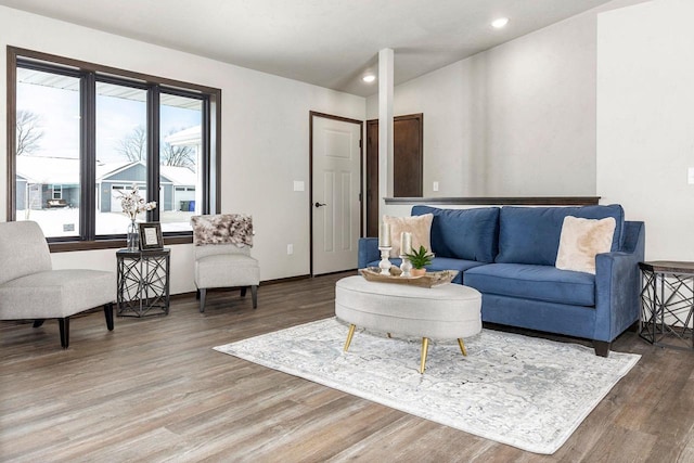 living room with wood-type flooring