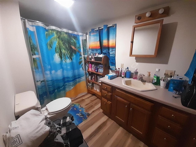 bathroom with curtained shower, toilet, wood finished floors, and vanity