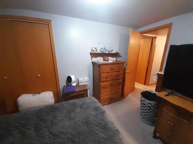 bedroom featuring a closet and carpet