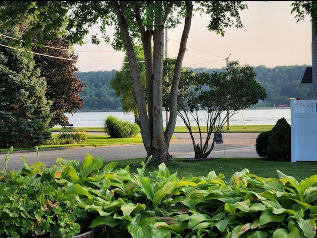 616 Elk St, Sabula, IA 52070 - view of home's community with a water view