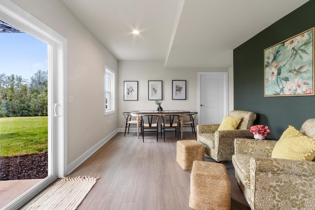 living room with light wood-type flooring and plenty of natural light