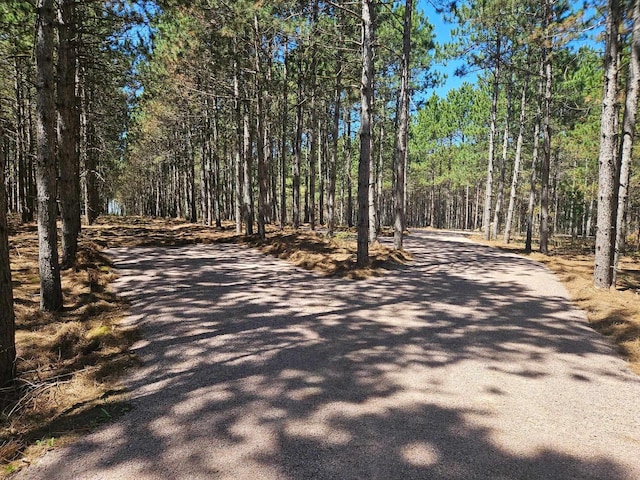 W3200 Yellow Banks Trl, Nekoosa, WI 54457