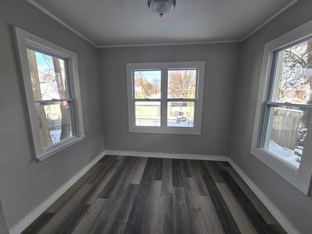 unfurnished room featuring crown molding and dark wood-type flooring