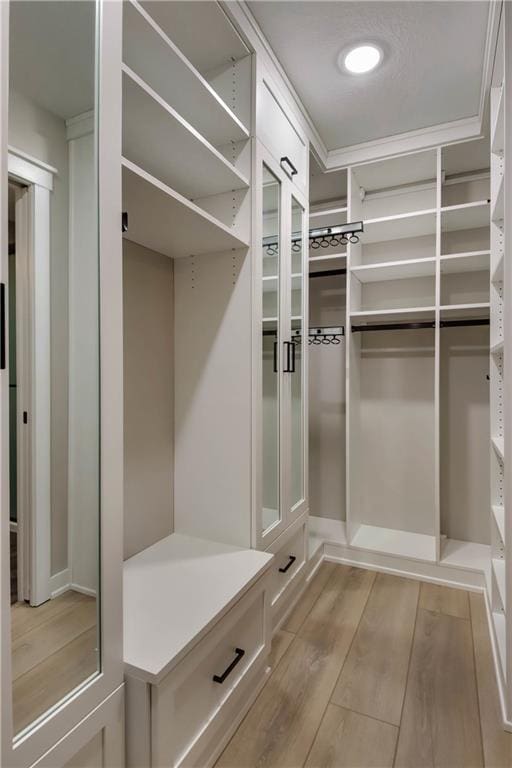 spacious closet featuring light wood-style floors