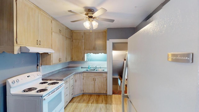 kitchen featuring sink, light hardwood / wood-style flooring, white electric range oven, and light brown cabinets