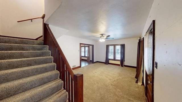 stairway featuring carpet floors and ceiling fan