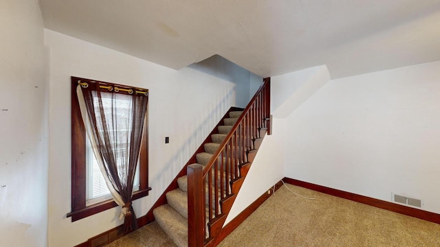 stairs featuring carpet flooring and plenty of natural light