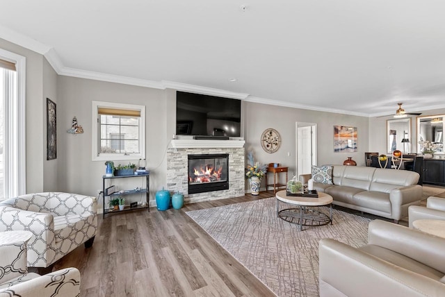 living room with ceiling fan, crown molding, wood-type flooring, and a fireplace