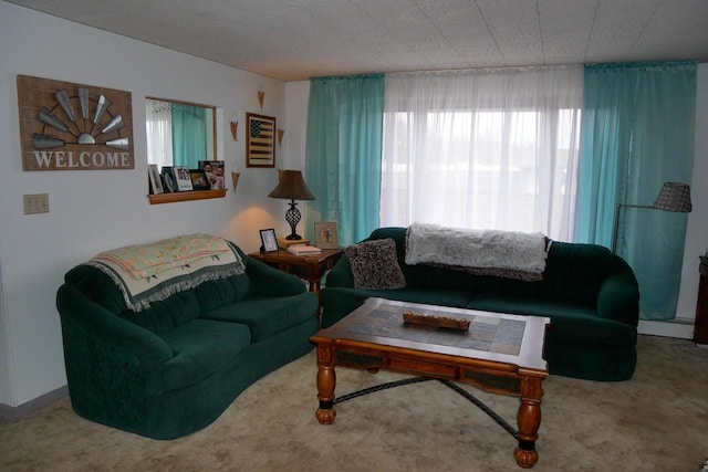 living room with carpet