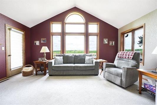 living room with carpet floors, a healthy amount of sunlight, and vaulted ceiling