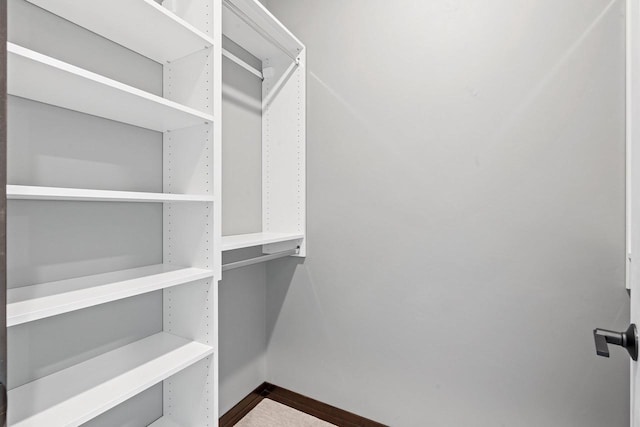 view of walk in closet